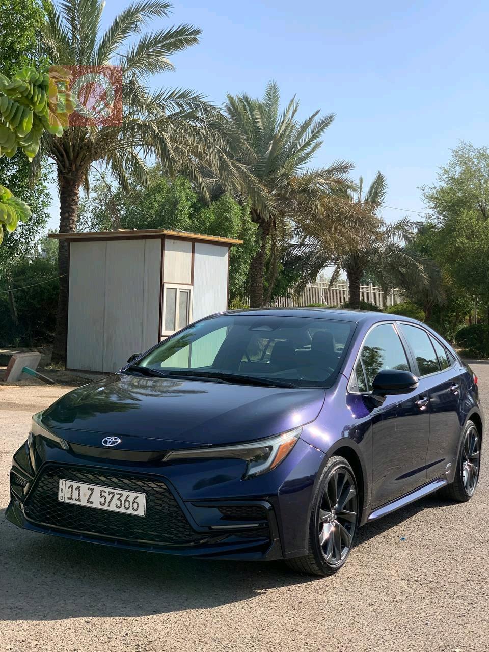 تويوتا كورولا